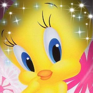 Meet your Posher, Velma